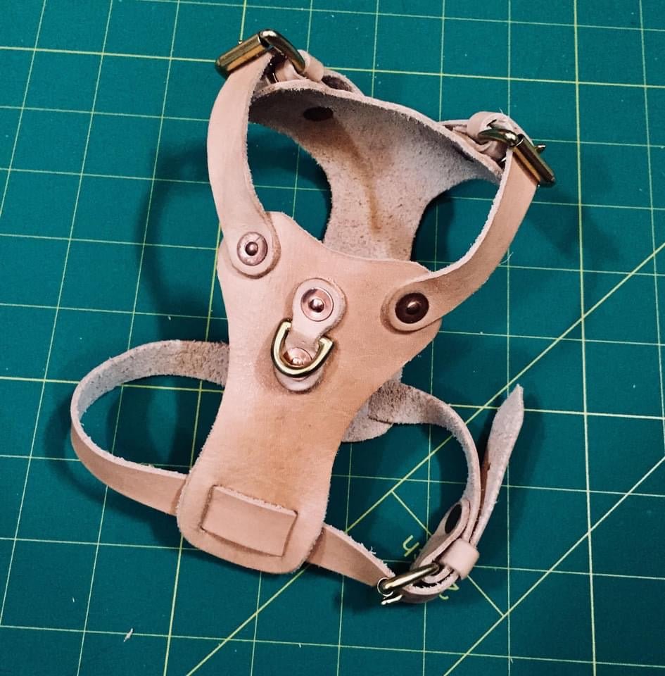 Free Mini Dog Harness Leather Pattern - Download PDF - Karlova Design